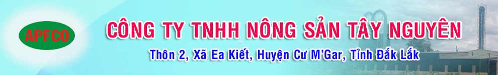 Công ty TNHH Nông sản Tây Nguyên