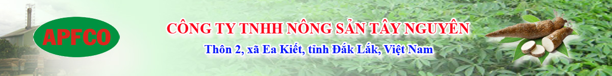 C&ocirc;ng ty TNHH N&ocirc;ng sản T&acirc;y Nguy&ecirc;n